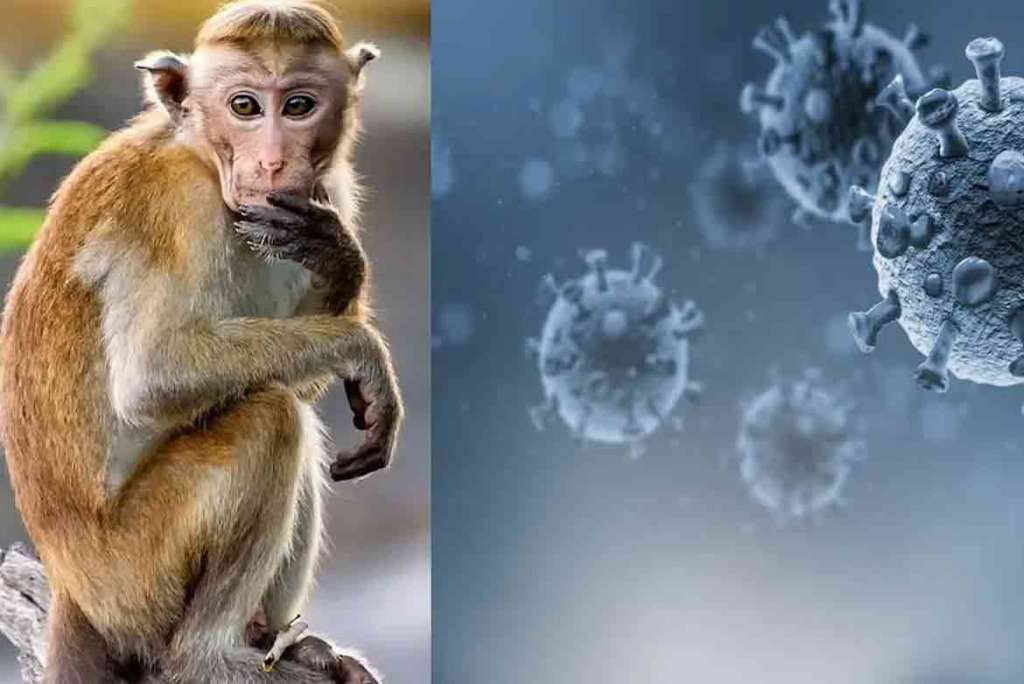 મંકીપોક્સ